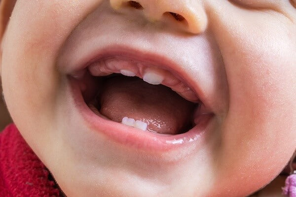Comment les bébés peuvent-ils mâcher avec seulement leurs dents de devant ?