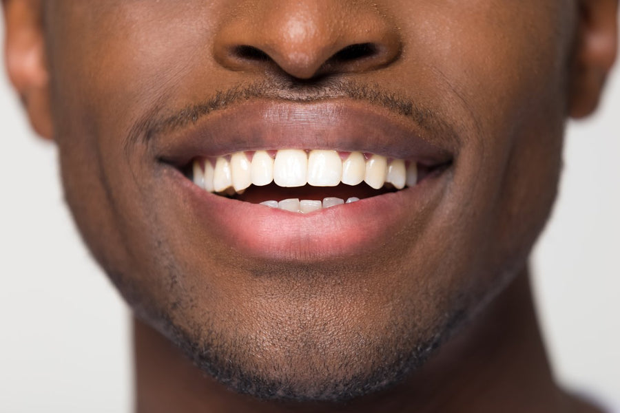 Les dents sont-elles des os ?